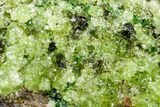 Peridot in Basalt - Arizona #154386-1